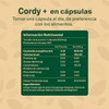 Mega Cordyceps. Hongo Cordyceps 100% Puro. 200 Capsulas de 500mg