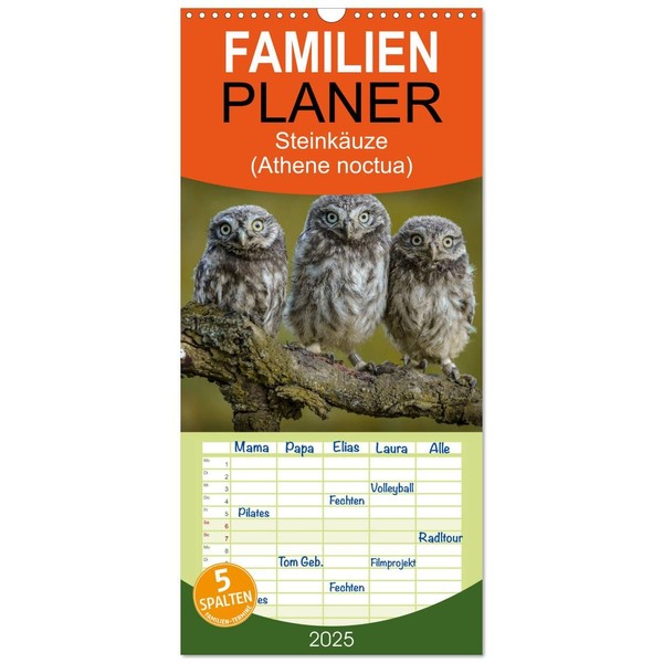 Familienplaner 2025 - Steinkäuze mit 5 Spalten (Wandkalender, 21 cm