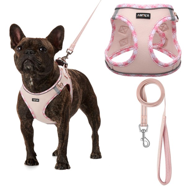 AMTOR Dog Harness with Leash Set,No Pull Adjustable Reflective Step-in