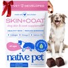 Native Pet Omega Skin and Coat Chews for Dogs -
