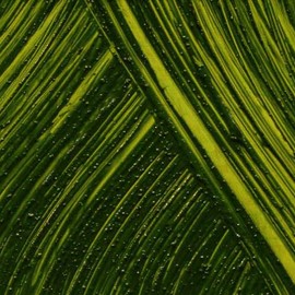 Williamsburg Artist Oil Colors by GOLDEN, Olive Green, 150 ml tube, Professional Oil Paint, Semi-Transparent