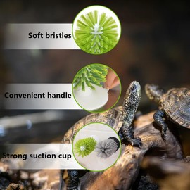 Turtle Brush with Suction Cup Turtle Brush Turtle Tank Accessories for Remove Turtle Shell Scutes (Green)