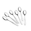 Eagrye Stainless Steel Tea Spoons, 12-Piece Small Spoon