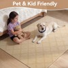 QiCaiJia 2x4 Entryway Area Rugs, Washable Kitchen Rug, Low-Pile Small