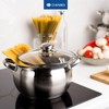 Daniks Classic Stainless Steel Stock Pot with Glass Lid –
