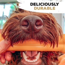 Tasty Bone LTBCT2015 Nylon Bone Chew Toy, Large