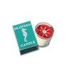 Swedish Dream Seaweed Candle