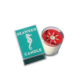 Swedish Dream Seaweed Candle