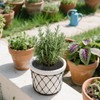 Qiuruoo 3 Pcs Plant Pot Cover, Plant Covers from Animals,