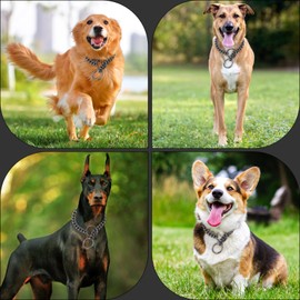 Black Chain Dog Collar,Dog P Chains,10mm Wide Solid Cuban Link Chains Stainless Steel Metal Links Walking Slip Training Collar for Dogs（14inch，Black）