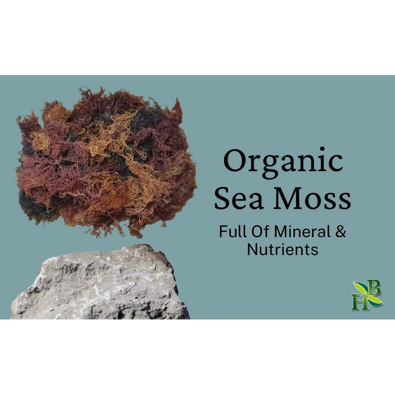 Herb To Body Full Spectrum Irish Sea Moss | Premium