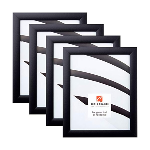 Craig Frames 1WB3BK 20 x 26 Inch Picture Frame, Black,