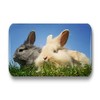 Merchandise for Fans 01 Rabbit Fridge Magnets Rectangular 7 x