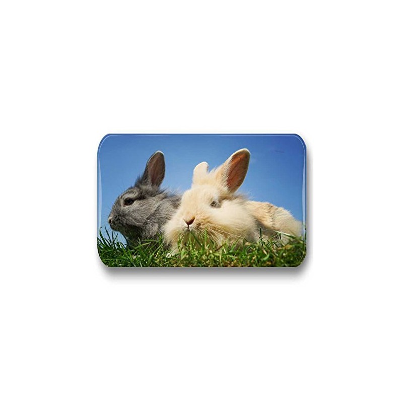 Merchandise for Fans 01 Rabbit Fridge Magnets Rectangular 7 x