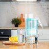 Wessper Glass Water Filter Jug, incl. 1 Filter Cartridge, 3