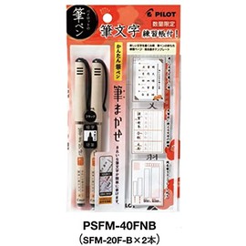 Pilot PSFM-40FNB PILOT Brush, 2 Black Fine Point Hard Brushes, Brush Character Exercise Book Included