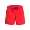 Quiksilver Men's Everyday 38.1-cm Board Shorts