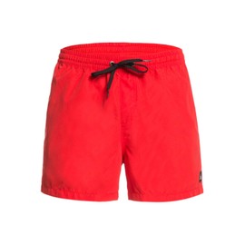 Quiksilver Men's Everyday 38.1-cm Board Shorts