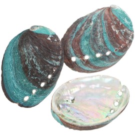 DOITOOL Abalone Shell 3pcs Abalone Shell Smudge Bowls Shell Smudge Holder Abalone Shell for Smudging Smudge Kit