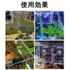 Acrylic Isolation Box, Aquarium Divider, Medaka Box, Fry Isolation Case,