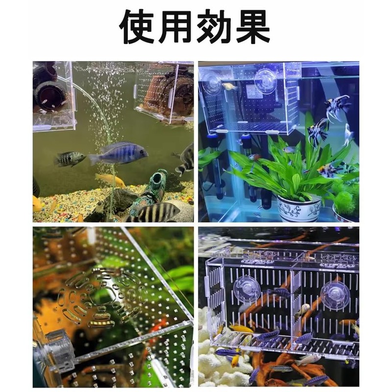 Acrylic Isolation Box, Aquarium Divider, Medaka Box, Fry Isolation Case,