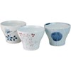 Ranchant Shinsen Tea Large Set, Multi Diameter 3.8 x Height