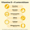 Dr. Jacob's Vitamin K2D3 Oil 20 ml | 50 µg