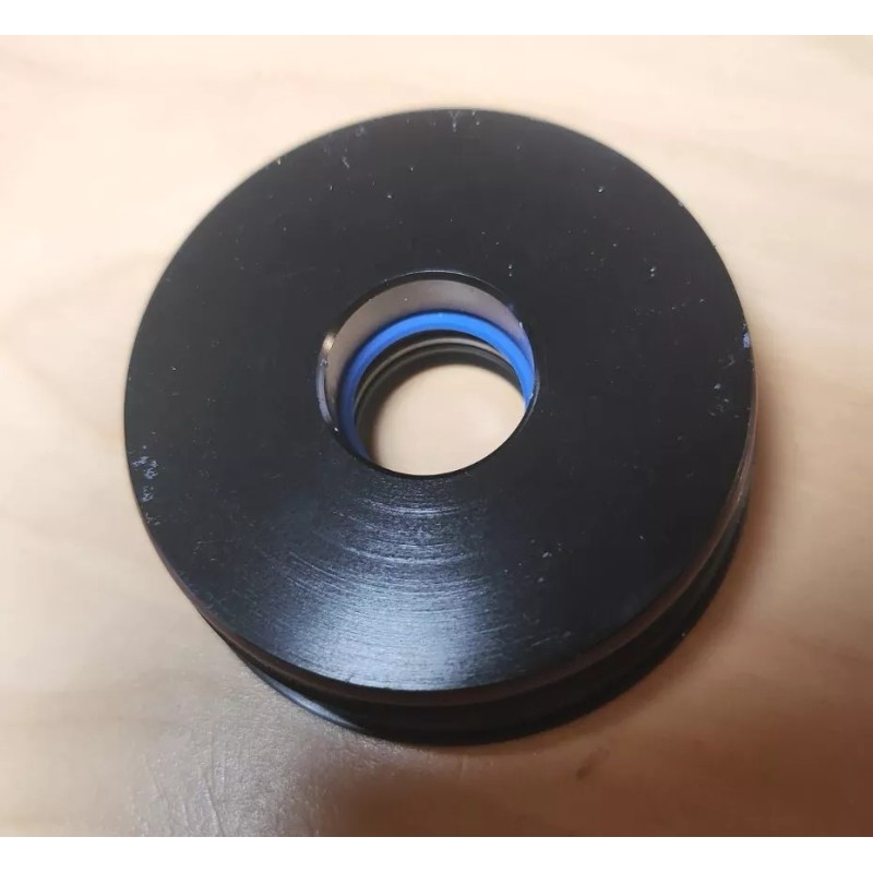 DI tech evinrude etec e-tec trim tilt seal kit 5008985