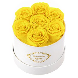 Beaulasting Long Lasting Preserved Roses in a Box Last a Year Forever Flowers for Her Mom Wife Anniversary Birthday (Round White Box, Yellow)