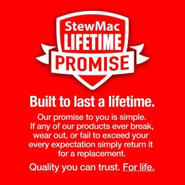 ColorTone Aerosol Guitar Lacquer, Clear Sanding Sealer