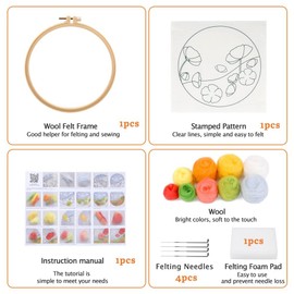 Needle Felt Starter Set, Includes Wool Bag, Felting Needles, Foam Pad, Felt Cloth & Instructions, Pastoral Style Kit for Home Decoration