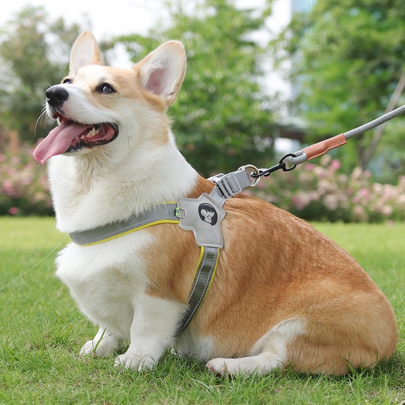 Step In Dog Harness with Reflective Stripes, Breathable Mesh Padded