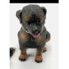 YOCO Rottweiler Dog Puppy Wireless Speaker Yoco Model Y551 New