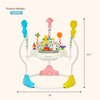 Dream On Me Zany 2-in-1 Activity Center and Bouncer in