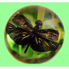 SPI Emerald Dragonfly Glass Paperweight