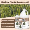 Pine Tree Fertilizer, Complete Liquid Pine Tree Plant Food, 1