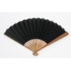 Hasegawa Folding Fan, Large Size, Kyoto Artisans Hand Made Fan,