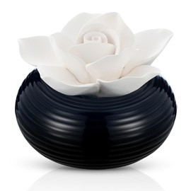 Honeydak 1 Pcs Flower Essential Oil Diffuser Stone White Ceramic Porcelain Passive Oil Diffuser Improves Sleep and Relieves Stress Non-Electric Handmade Decorative Tabletops for Desk (Classic Style)