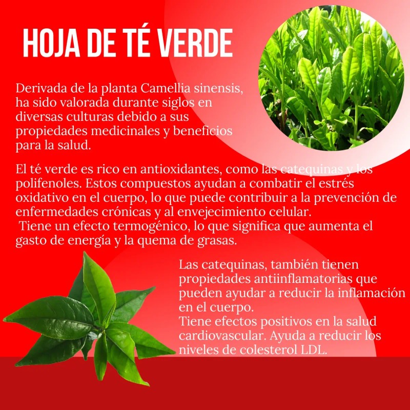 Suplemento Súper Reductivo Intenso 90 Cápsulas