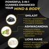 MountSpirit Pure Organic Himalayan Shilajit Gummies with Lion's Mane Mushroom