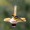 Daiilg Oriole Bird Feeders for Outdoors, Jelly and Oranges Bird