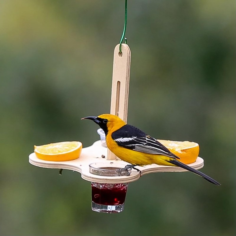 Daiilg Oriole Bird Feeders for Outdoors, Jelly and Oranges Bird