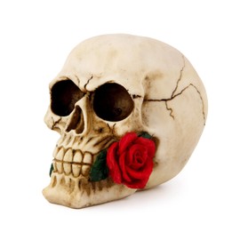 large Rose Flower skull Human Head Size, mexican ceramic skull wall, gothic skull ornaments home decorative home accessories 14.5 * 20.6 * 15.5cm