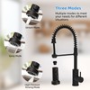 Hibbent Stainless Steels Pull Down Kitchen Faucet Head Replacement, 3