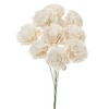 Daichi Farm DO032083-010 Dried Flowers, Solar Rose, Large, White Approximately