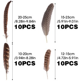 TOTSUN 40 Pcs Natural Pheasant Feathers 10-25 Cm Brown Speckled Feathers DIY Pheasant Tails Feather Pheasant Feather for Crafts Hats Wreath Party Deco Cosply Props (4 Sizes)