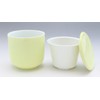 Toyo Ceramics Crispy Box Yellow