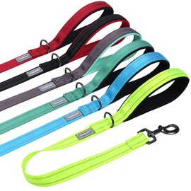 VIVAGLORY Short Dog Lead 24" Brilliant Yellow