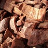 국산 유근피 느릅나무 뿌리 껍질차 코나무 Korean Ulmus Hookeriana Bark