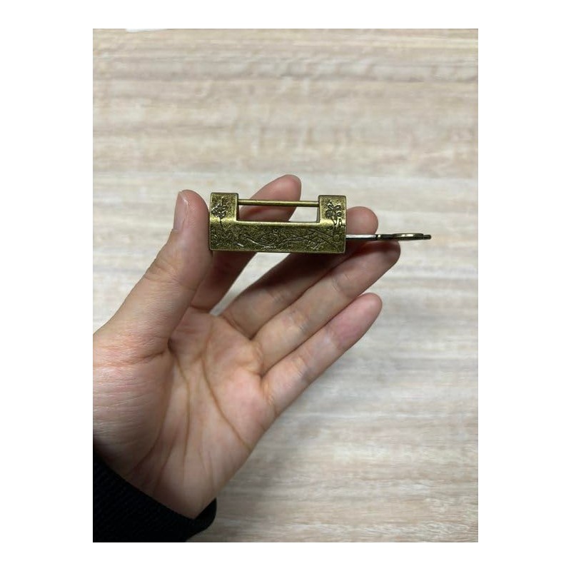 Quluxe Antique Chinese Lock and Key, Flower Bird Carved Retro